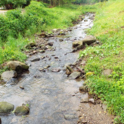 NID-7613_DSCF3364.JPG