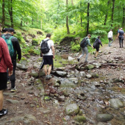NID-7613_DSCF3410.JPG