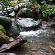 NID-7613_DSCF3424.JPG