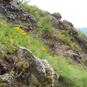 NID-7613_DSCF3531.JPG