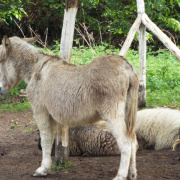 NID-7613_DSCF3610.JPG