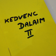 pedagogusnap94.JPG