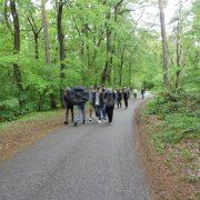 NID-7621_DSCN0873.JPG