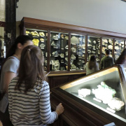 NID-7621_DSCN0913.JPG