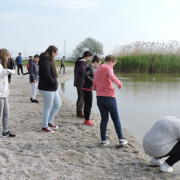 NID-7621_DSCN0931.JPG