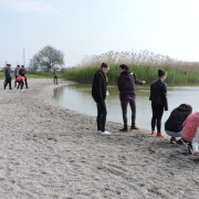 NID-7621_DSCN0932.JPG
