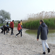 NID-7621_DSCN0936.JPG