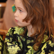 NID-713_2009_02_24_farsang_10.jpg