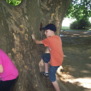 2008.06.ho_062.jpg