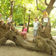 2008.06.ho_064.jpg