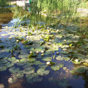 2008.06.ho_083.jpg