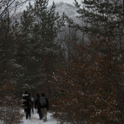 telitura0912-068.jpg