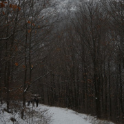 telitura0912-070.jpg