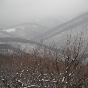telitura0912-085.jpg