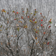 telitura0912-094.jpg