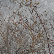 telitura0912-095.jpg