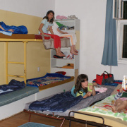 erdei-12.jpg