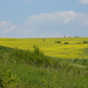 P1120564.JPG