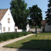 NID-2560_DSCF8081.jpg