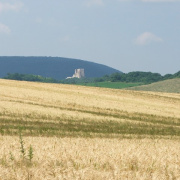NID-2560_DSCF8112.jpg