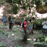 NID-2560_DSCF8122.jpg