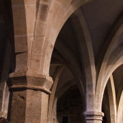 NID-2560_DSCF8230.jpg