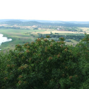 NID-2560_DSCF8325.jpg