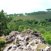 NID-2560_DSCF8327.jpg