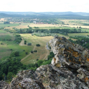 NID-2560_DSCF8329.jpg