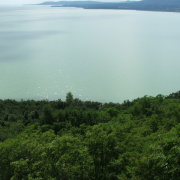 NID-2560_DSCF8331.jpg