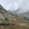 NID-2961_DSCF9078.JPG