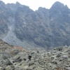 NID-2961_DSCF9101.JPG