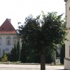 NID-2961_DSCF9315.JPG