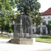 NID-2961_DSCF9323.JPG