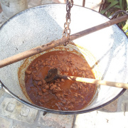 caladinap-039.jpg