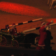 NID-3143_1_a_lovas_vilagkupa_2011_12_02_039.jpg