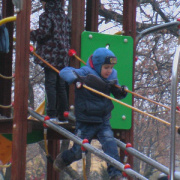 NID-3143_1_a_lovas_vilagkupa_2011_12_02_051.jpg