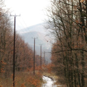 NID-3247_22teli_tura_2012_.JPG