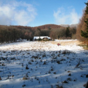 NID-3247_25teli_tura_2012_.JPG