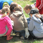 1_a_csaladinap_csalanosi_erdo_2012_04_21_003.jpg