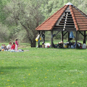 1_a_csaladinap_csalanosi_erdo_2012_04_21_010.jpg