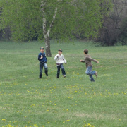 1_a_csaladinap_csalanosi_erdo_2012_04_21_022.jpg