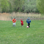 1_a_csaladinap_csalanosi_erdo_2012_04_21_036.jpg