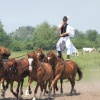 NID-3495_1_a_bugaci_kirandulas_2012_06_08_063.jpg