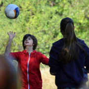a2014b-2012-33.jpg