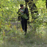 a2014b-2012-82.jpg
