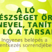 2_a_lovas_vilagkupa_2012_11_30_002.jpg