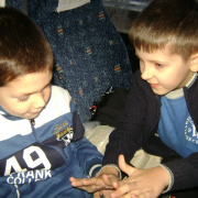 2_a_lovas_vilagkupa_2012_11_30_007.jpg