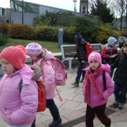 2_a_lovas_vilagkupa_2012_11_30_017.jpg