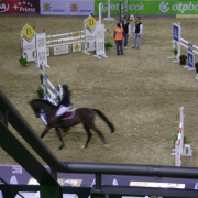 2_a_lovas_vilagkupa_2012_11_30_032.jpg